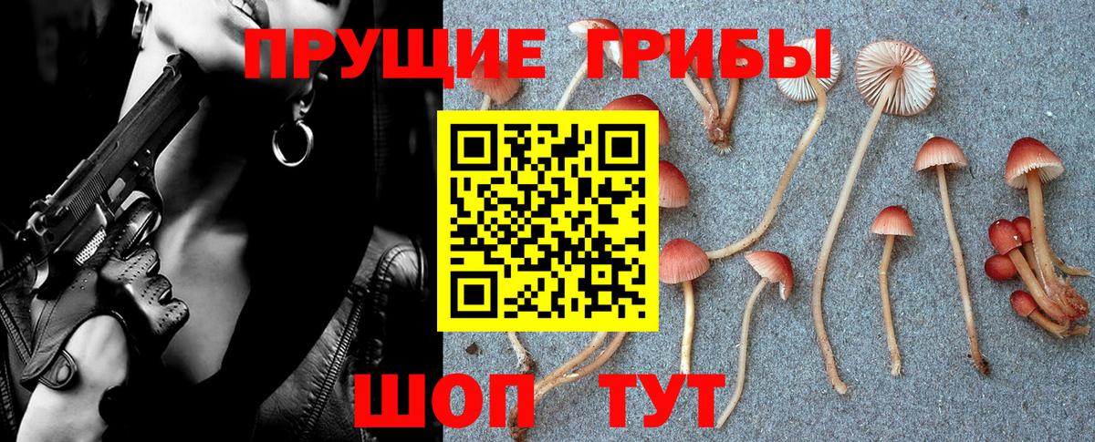 Электросталь  Галлюциногенные грибы прущие грибы  Вход с VPN 